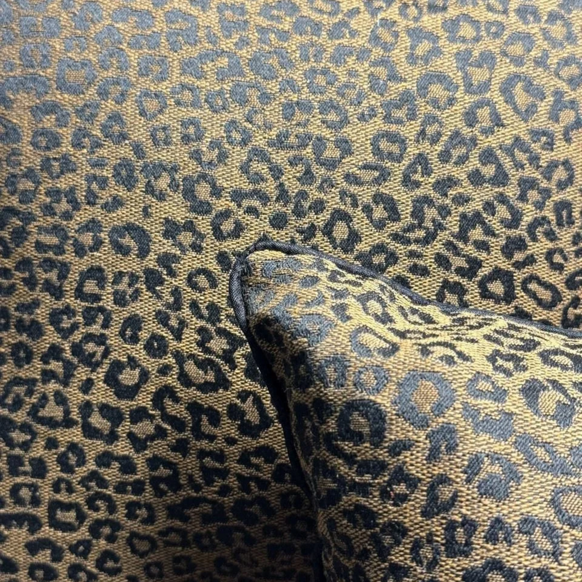Brown Leopard | Set of 2